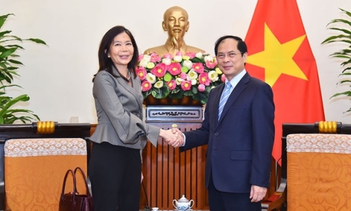 Thúc đẩy hơn nữa quan hệ hợp tác giữa Việt Nam và Liên hợp quốc