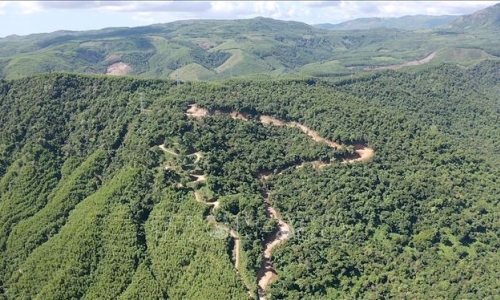 Phó Thủ tướng Trần Lưu Quang yêu cầu Quảng Ngãi làm rõ thông tin phá rừng tự nhiên ở Đức Phổ