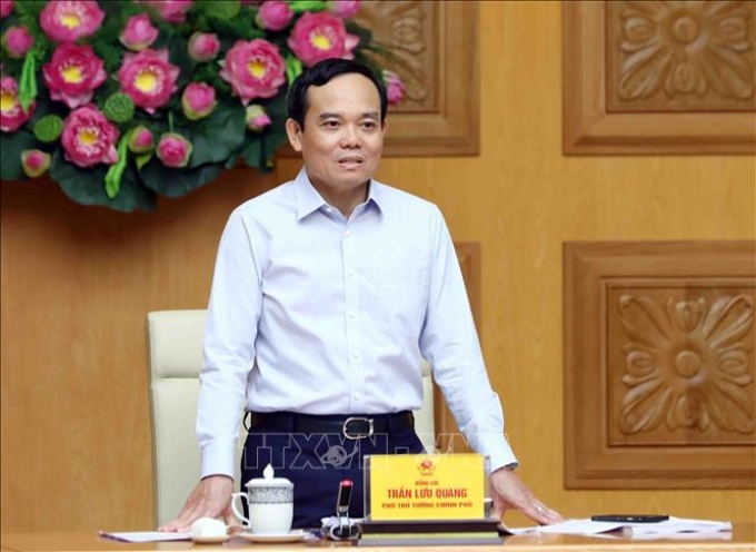 Phó Thủ tướng Trần Lưu Quang phát biểu. Ảnh: Phạm Kiên/TTXVN
