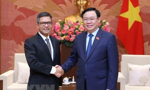 Việt Nam thúc đẩy quan hệ hợp tác toàn diện với Indonesia và Iran
