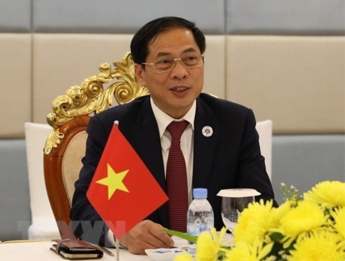 Bộ trưởng Ngoại giao Bùi Thanh Sơn. (Ảnh: TTXVN)