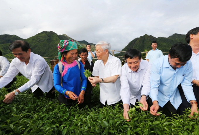 Tổng Bí thư Nguyễn Phú Trọng thăm mô hình thâm canh sản xuất chè VIET GAP ở bản Cốc Phát, xã nông thôn mới Bản Bo, huyện Tam Đường, tỉnh Lai Châu_Ảnh: TTXVN