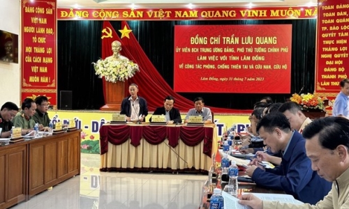 Phó Thủ tướng khảo sát hiện trường vụ sạt lở trên Đèo Bảo Lộc
