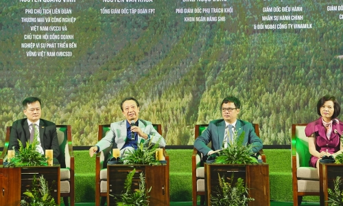 Chuyển dịch xanh – cách phát triển bền vững của thương hiệu quốc gia Việt Nam