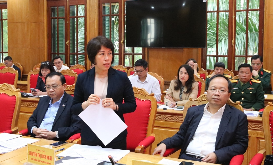 Thứ trưởng Bộ Kế hoạch và Đầu tư Nguyễn Thị Bích Ngọc phát biểu.