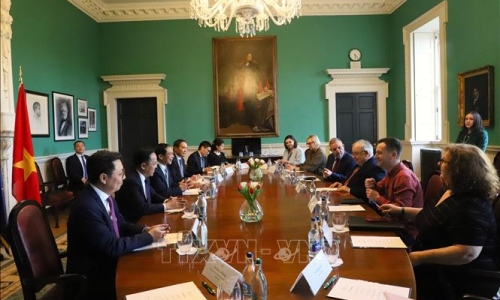 Bộ trưởng Ngoại giao Bùi Thanh Sơn gặp Chủ tịch Thượng viện và Chủ tịch Hạ viện Ireland