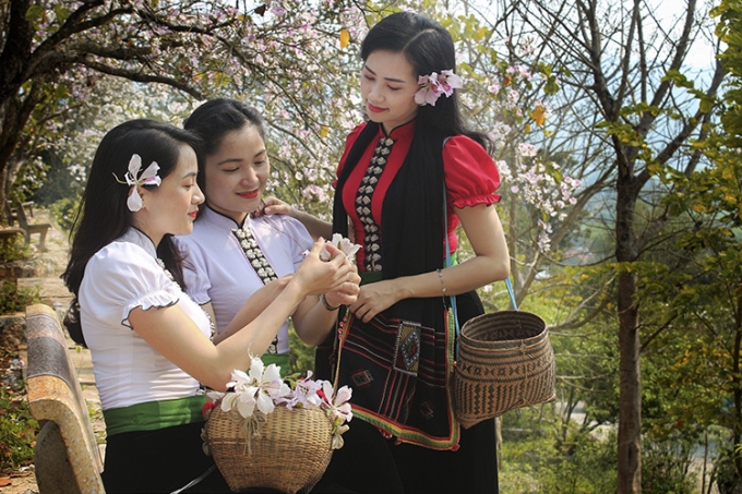 Lễ hội hoa ban và đã trở thành lễ hội thường niên vào mỗi dịp tháng 3 của Điện Biên.