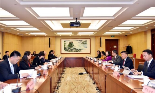 Thúc đẩy hợp tác hiệu quả và thiết thực giữa các cơ quan của Quốc hội Việt Nam và Nhân Đại toàn quốc Trung Quốc