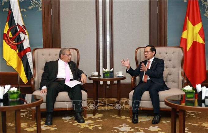 Bộ trưởng Ngoại giao Bùi Thanh Sơn tiếp Bộ trưởng thứ hai Bộ Ngoại giao Brunei Darussalam, ông Dato Erywan Pehin Yusof. Ảnh: An Đăng/TTXVN