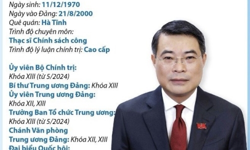 Ủy viên Bộ Chính trị, Trưởng Ban Tổ chức Trung ương, Chánh Văn phòng Trung ương Đảng Lê Minh Hưng