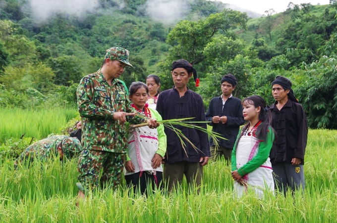 Bộ đội Biên phòng Lai Châu hướng dẫn đồng bào dân tộc Mảng ở xã Nậm Ban, huyện Nậm Nhùn trồng lúa nước