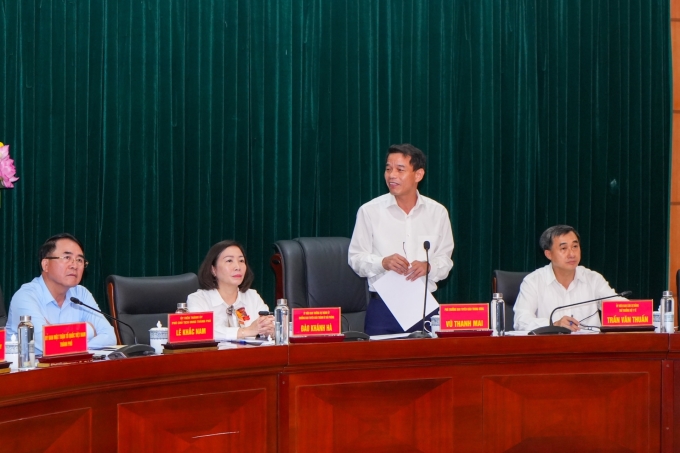 Đồng chí Vũ Thanh Mai, Phó Trưởng Ban Tuyên giáo Trung ương phát biểu tại buổi làm việc.