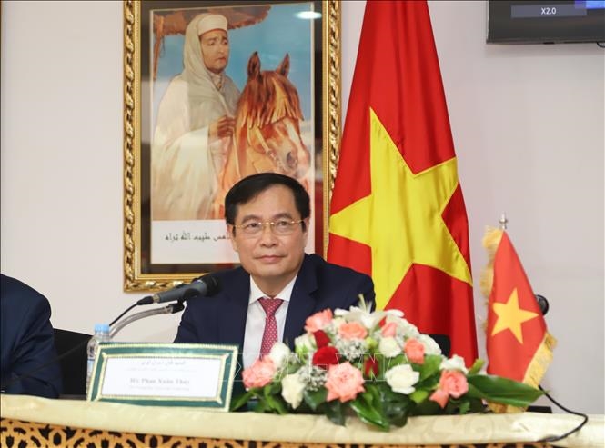 Phó Trưởng ban Tuyên giáo Trung ương Phan Xuân Thủy chia sẻ một số kinh nghiệm của Việt Nam trong việc học tập và làm theo tư tưởng, đạo đức, phong cách của Chủ tịch Hồ Chí Minh tại hội thảo.