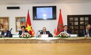 Hội thảo “Chủ tịch Hồ Chí Minh và phong trào giải phóng dân tộc tại châu Phi, quan hệ Việt Nam - Maroc”
