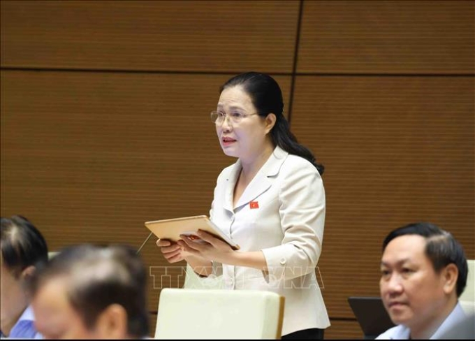 Đại biểu Quốc hội tỉnh Quảng Ninh Đỗ Thị Lan phát biểu. (Ảnh: TTXVN)