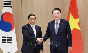 Việt Nam - Hàn Quốc tiếp tục hợp tác chặt chẽ, ủng hộ lẫn nhau trong các diễn đàn quốc tế và khu vực