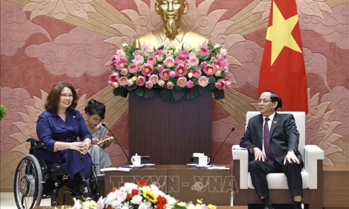 Mong muốn Hoa Kỳ giúp Việt Nam nâng cao năng lực tham gia gìn giữ hòa bình Liên hợp quốc