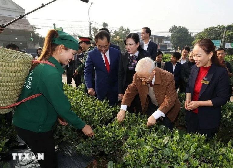 Tổng Bí thư Nguyễn Phú Trọng thăm vườn chè của Hợp tác xã Hảo Đạt, thành phố Thái Nguyên.