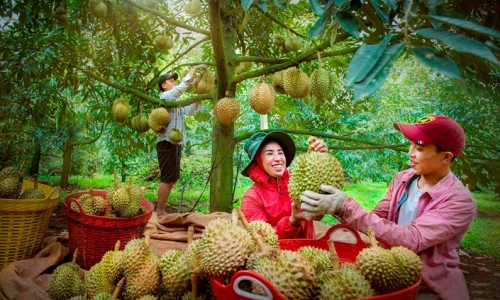 Giai cấp nông dân hiện thực hóa mục tiêu “Dân giàu, nước mạnh, dân chủ, công bằng, văn minh” qua gần 40 năm đổi mới: Kết quả và một số bài học kinh nghiệm