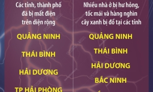 Bão số 3: Bốn người chết, 78 người bị thương (tính đến 17h ngày 7/9)