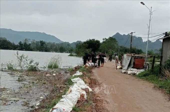 Các lực lượng xã Nam Phuơng Tiến (huyện Chuơng Mỹ, Hà Nội) khẩn trương hộ đê khi nước sông Bùi dâng cao. (Ảnh: TTXVN)