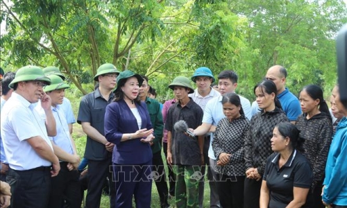 Phó Chủ tịch nước Võ Thị Ánh Xuân kiểm tra công tác khắc phục hậu quả bão số 3 tại Lạng Sơn