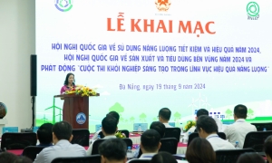 Sử dụng năng lượng tiết kiệm và hiệu quả làm giảm nhẹ tác động của biến đổi khí hậu toàn cầu