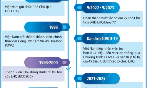 Quan hệ hợp tác Việt Nam - Liên hợp quốc