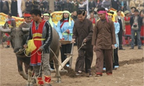 Chủ tịch nước khai lễ hạ điền trên cánh đồng Đọi Sơn