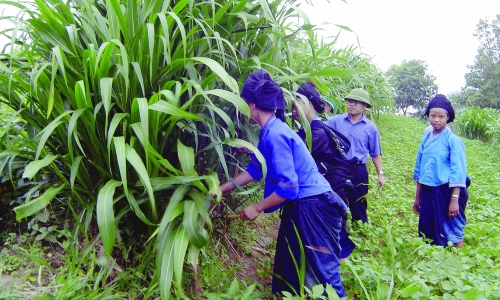 Quan hệ bố trí ngân sách với kết quả giảm nghèo