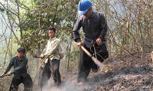 Các tỉnh huy động tối đa lực lượng chữa cháy rừng